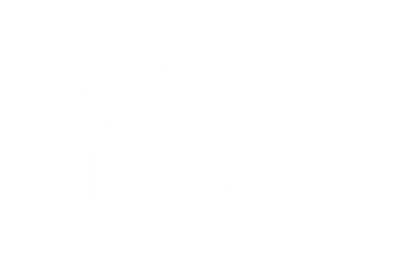 CyberForum
